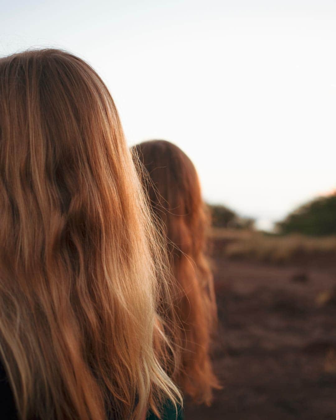 Robert Bingamanのインスタグラム：「Long-haired Sapiens, Earth.」