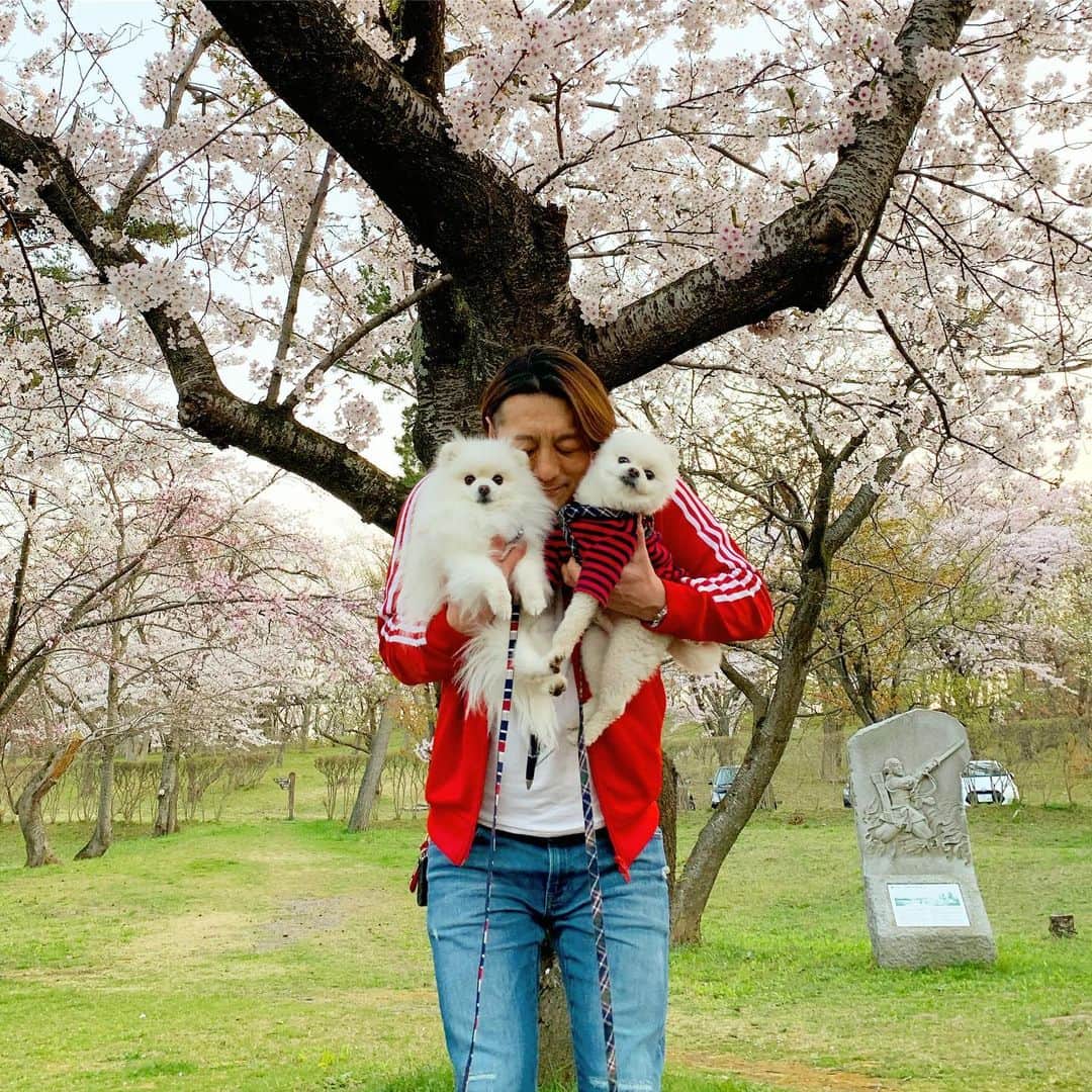 ニコちゃんのグルメインスタ