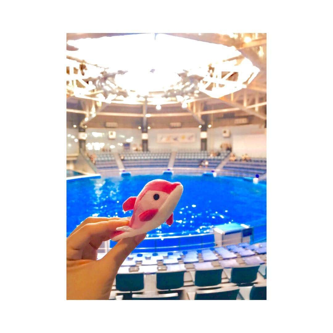 村山絢香さんのインスタグラム写真 - (村山絢香Instagram)「✻ ✻ ✻ ✻ 水族館が大好きな母娘✨☺️💓 早く回りたくて仕方ない様子でカメラも全く見てくれず(*^^*)🌸🐬笑 イルカショーを見終えると…目的を達成したかのように バタリと眠り姫に🤣💖😍 ✻ ✻ 癒やされたり笑ったり追いかけたり…♡♡笑 あっという間に時間がすぎてしまう水族館(*ˊᵕˋ*)🐬💗 ✻ ✻ ✻ ・ ・ #水族館 ♡ #大好き  #🐬 #いるかマスコット 🐬💕 #気に入らなかったのかポイ 🌸笑 #何回も拾う 😂💕 #ママ のにしよ 💓笑  #いっぱい #笑ったね #イルカショー #楽しい ☺️ #疲れ知らず #お散歩 #ママライフ #enjoy  #気まぐれ日記 ♡ #育児日記  #家族 #Family #愛しい #ベビー #baby #育児 #子育て #mama #パパ #babygirl  #女の子 #女の子ママ ♡ #親バカ」4月25日 6時06分 - ayaka_murayama