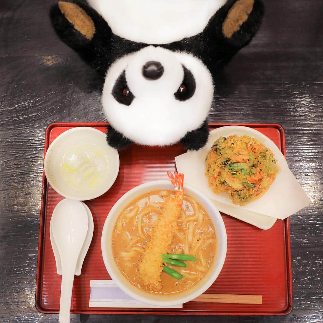 アトレ上野（atre ueno）さんのインスタグラム写真 - (アトレ上野（atre ueno）Instagram)「"今日は古奈屋にカレーうどんを食べに来たよ🐾 濃厚なカレーにもちもちの麺とサクサクの海老の天ぷらがのった最高の一品✨ ぼくのおススメは季節のかき揚げをプラスで頼むこと🤤💓 季節ごとに変わるから、ずっと飽きずに食べられるんだ🍴 みんなも食べに行ってみてね💓" ・ "I visited KONAYA for its Curry Udon today 🐾 The combination of chewy udon noodles soaked in rich curry sauce and crispy shrimp tempura is the best! ✨ My recommendation is the seasonal mixed vegetable tempura 🤤💓 The menu changes with season so there is always something to look forward to! 🍴 Do give it a try! 💓" ・ "我今天來到古奈屋享用了咖哩烏冬面 🐾 口感彈牙的烏冬面浸泡在濃稠的咖哩醬裡，在配上酥脆的炸蝦天婦羅是最棒的了 ✨ 我的推薦是季節性的混合天婦羅 🤤💓 菜單也會隨著季節改變，所以不會感到疲倦 🍴 大家不妨來試一試 💓" ・ ・ ・ ・ #上野 #アトレ上野 #アトレ #atre #atreueno #パンダ #上野パンダ #上野散策 #熊猫 #東京觀光 #PANDA #🐼 #ueno #tokyotour #ぬい撮り #上野観光 #古奈屋 #カレーうどん #上野グルメ #東京グルメ #パンダ好き #japanesefood #curryudon #udon #うどん好き #tokyolunch #uenolunch #東京ランチ #上野ランチ #パンダマニア」4月25日 16時18分 - atre.ueno