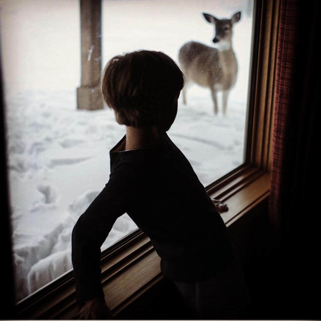 フェドン・パパマイケルのインスタグラム：「Manu and the Deer 🦌❄️ #Leica」