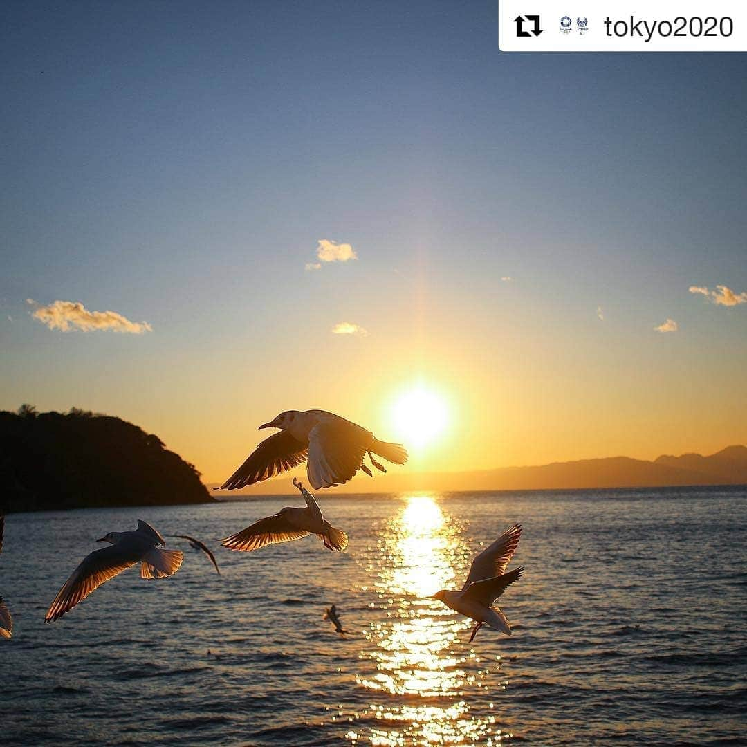 オリンピックさんのインスタグラム写真 - (オリンピックInstagram)「🤩 @tokyo2020 @worldsailingofficial ・・・ This is #Enoshima, where the #Tokyo2020 sailing competitions will be held. It is less than one hour away from Tokyo, the perfect destination on a nice summer’s day 🌞 On a clear day, you can also see Mt. Fuji from the Enoshima Bentenbashi Bridge 🗻 . . | Photo by Tokyo 2020」4月25日 16時42分 - olympics