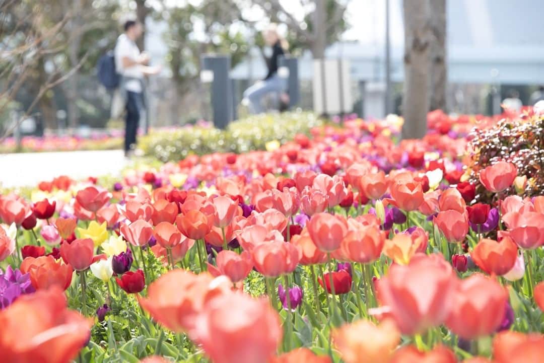 東京都庁広報課のインスタグラム
