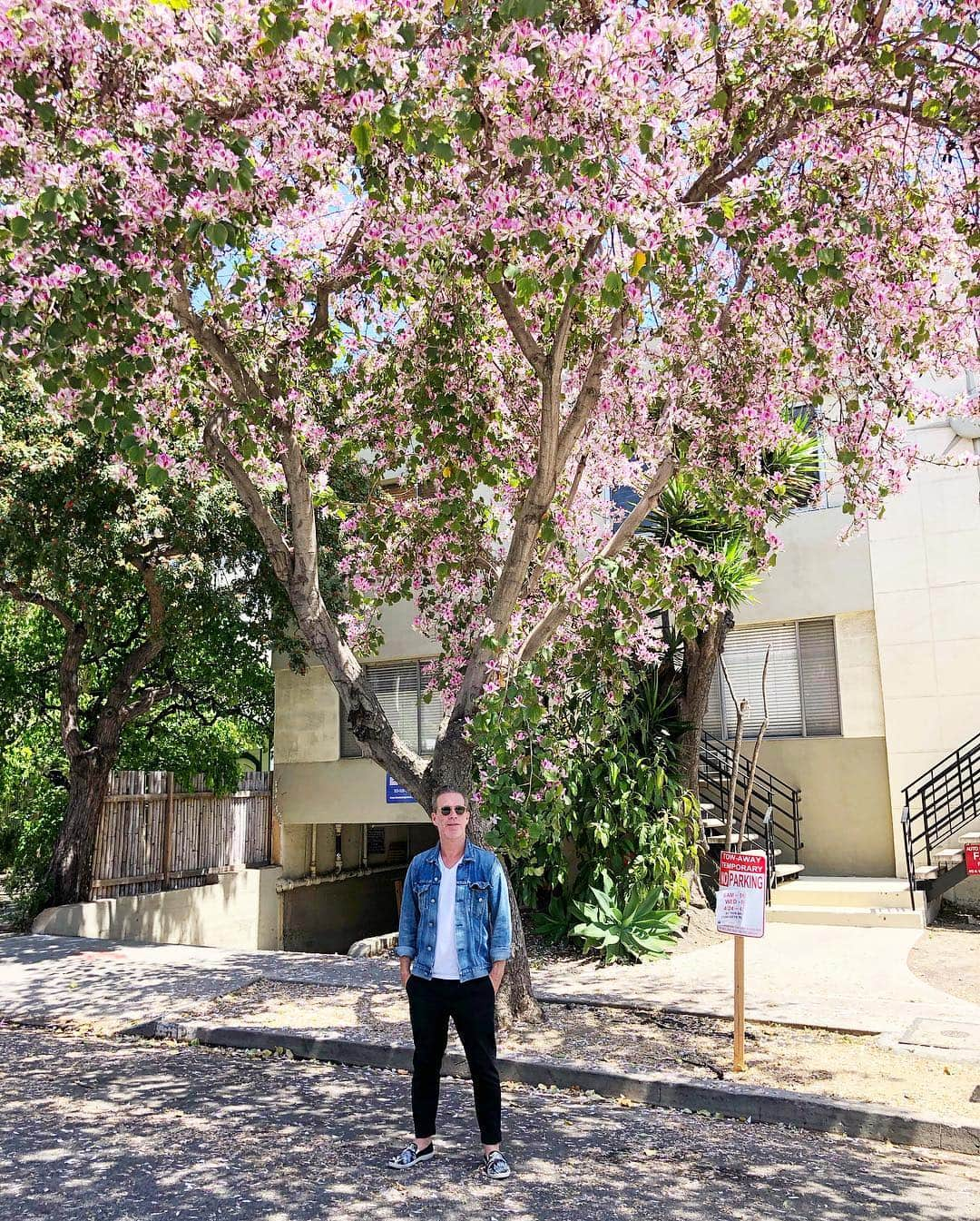 scottlippsさんのインスタグラム写真 - (scottlippsInstagram)「Today’s National #denimday Spring time, pink flowers and denim in LA 📷 @edwardjowdy #flowers #spring #denim」4月25日 8時12分 - scottlipps