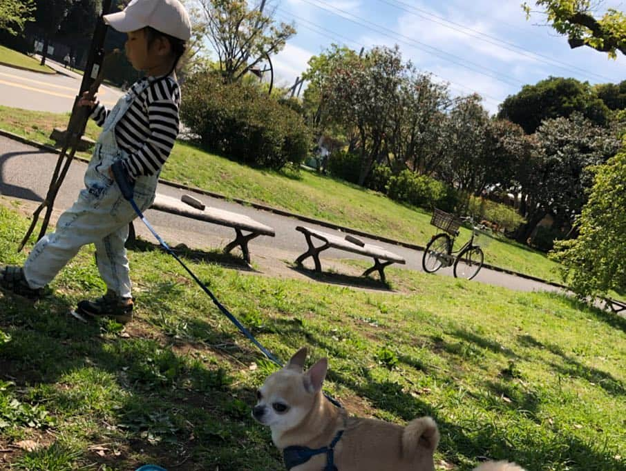 時東ぁみさんのインスタグラム写真 - (時東ぁみInstagram)「載せ損ねてたー💦 ・ ある晴れた日のピクニック☀️ 友達いて、友達の子どもいて、愛犬もいる幸せ💓 ・ ただ…うまく集合写真は撮れませんでしたw 最後までswipe👉w ・ #時東ぁみ #ピクニック #picnic #公園 #park #快晴 #晴れ #天気最高 #友達 #子ども #愛犬 #幸せ #写真 #下手 #誰かしら #写ってない #いぬすたぐらむ #犬バカ部」4月25日 8時24分 - amitokito