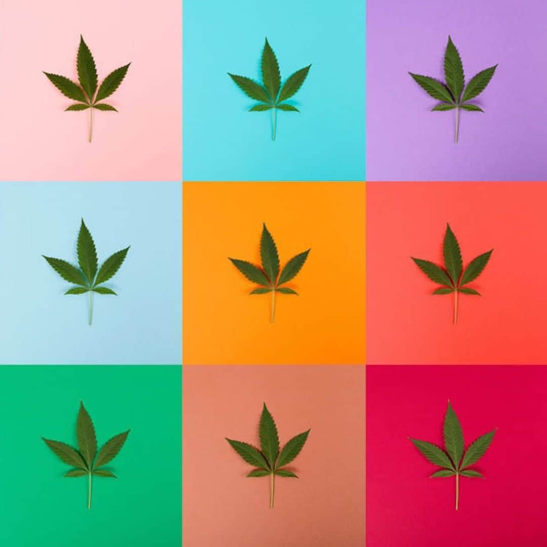 VICEさんのインスタグラム写真 - (VICEInstagram)「As attitudes toward cannabis change with policy, parents who use the drug are exploring how to educate their kids about its risks and rewards. 🗣 Read about what it's like to tell your kids you love weed at our link in bio, via @broadly.」4月25日 8時30分 - vice