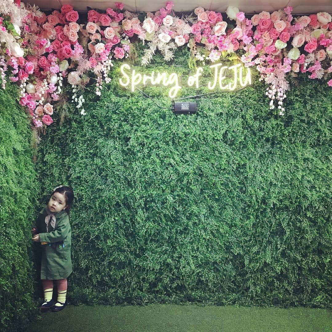 イ・ユンジさんのインスタグラム写真 - (イ・ユンジInstagram)「Spring of Jeju #보호색#라멜레온#여행은끝났지만사진으로연장시키고파핫」4月25日 9時46分 - dancingmulgogi