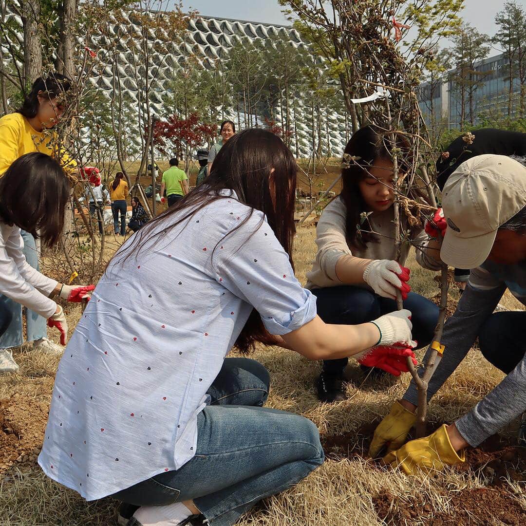 ジンエアーさんのインスタグラム写真 - (ジンエアーInstagram)「4월 24일, 서울 식물원에 다녀왔습니다🌱 2013년부터 진행해 온 진에어의 #맑아진에어  올해는 곧 개장을 앞둔 서울 식물원에서 미세먼지 저감에 도움이 되고 나비들이 좋아하는 분꽃나무 등 총 138그루를 심고 왔습니다. 우리의 작은 손길이 조금이나마 도움이 되길 바라며 🙏 🌎  #진에어_파이팅 #우리모두_파이팅  #진에어 #직원들이만들어가는 #식수행사  #맑아진에어 #재미있게지내요 #재미있게진에어」4月25日 10時03分 - jinair_lj