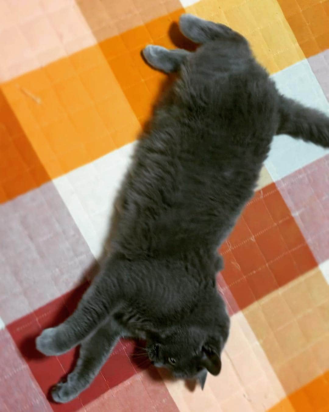 チキン南蛮カレーのルウ王子のグルメインスタ