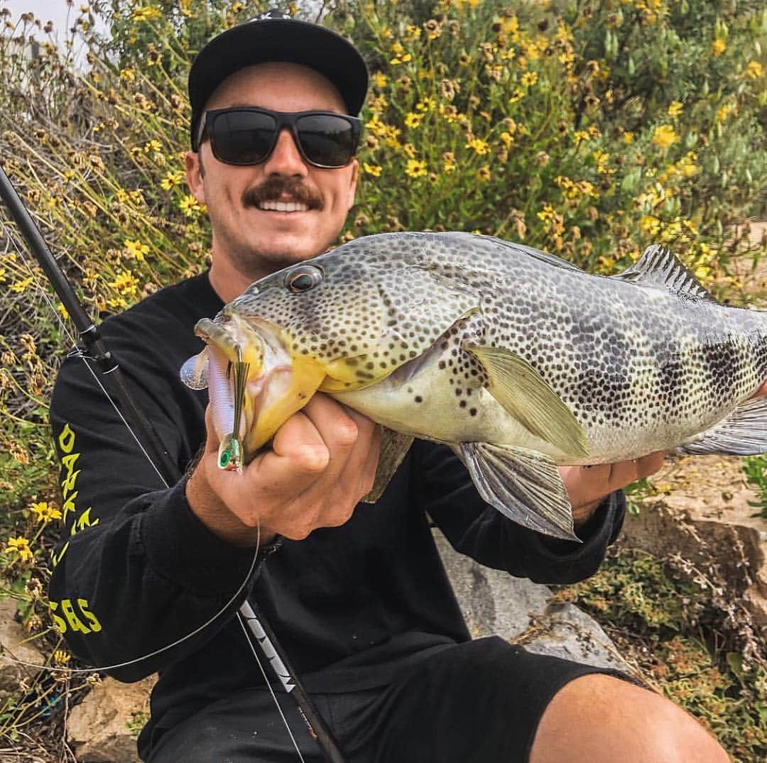 Electric_Fishingさんのインスタグラム写真 - (Electric_FishingInstagram)「Beautiful local Southern California Spotted Bay Bass caught by @gunner_campbell .  #ElectricSunglasses #PolarizedSunglasses #StyleThatPerforms #ElectricFishing #spottedbaybass #swingarm」4月25日 10時48分 - electric_fishing