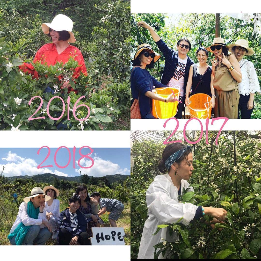 早坂香須子さんのインスタグラム写真 - (早坂香須子Instagram)「ネロリラの開発をスタートしてから、毎年この季節には佐賀県唐津市に行き、耕作放棄地でみかんの花摘みをします。  初めて訪れた2016年には後継者が無く荒れ山だった場所が、今では無農薬化粧品の材料を育てるTOKOTOWA FARMとして見事に蘇るのを目撃してきました。  4年目の唐津。 5月4日には、  ネロリラボタニカの開発を一緒に歩んでくれているアルデバラン代表暮辺達夫さん、シンシアガーデン代表の杉谷惠美さんとハナマルシェにてトークも決まりました。  ネロリラボタニカをはじめ、たくさんの国産コスメなどのブースが出るハナマルシェに、ぜひ遊びに来てください💕💕💕 すぐ近くでは唐津やきもん祭りも開催してますよ❤︎ ．  #repost @hanamarche_beauty via @PhotoAroundApp . ＼ 自分らしく輝くビューティーライフの楽しみ方 ／ 〜 開発者と語る国産オーガニックコスメの魅力 〜 . ■ ５月４日（土）15:10~15:45 . 毎回大人気のHanaMarcheビューティートーク❗️ 15:10からは「自分らしく輝くビューティーライフの楽しみ方」と題して  ビューティディレクター/メイクアップアーティストの早坂香須子 @kazukovalentine さん✨ . シンシア・ガーデン／ビーバイ・イー代表の杉谷惠美 @sincere.emiさん✨ . アルデバラン代表の暮部達夫さん✨ . の3名を迎え、NEROLILA Botanica開発の経緯や プロダクトへの想い、 初夏のスキンケアのコツをはじめ 地方の魅力や素材の話などをお話しいただきます。 .  ５月に販売のNEROLILA BotanicaのNewアイテム❣️ オーガニック「コットンパフ」と数量限定の「ホーリーハーバルシャワー2019」のお話もお伺いします .  ステージの時間は15:10〜。 ※席数に限りがありますのでご了承ください。  ５月4日（土）佐賀県唐津市の 旧唐津銀行特設会場にて開催され「HanaMarche2019」 みなさまのご参加をおまちしております！！ . . #早坂香須子 #イベント #佐賀県 #唐津市 #GW#お待ちしてます #ネロリラボタニカ #nerolilabotanica #シンシアガーデン #ホーリーバジル #organic #social #hanamarche #hanamarche2019」4月25日 10時49分 - kazukovalentine