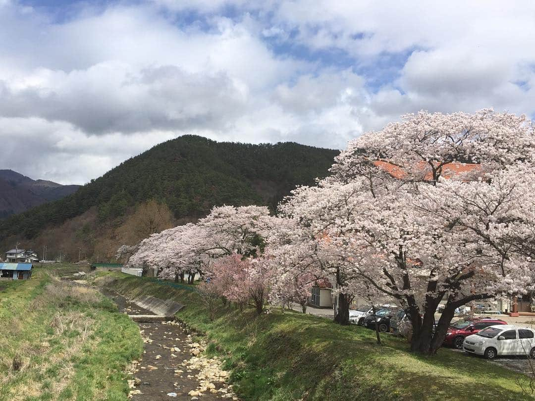 チックンとプーちゃんのふるさと? From Japan??のインスタグラム