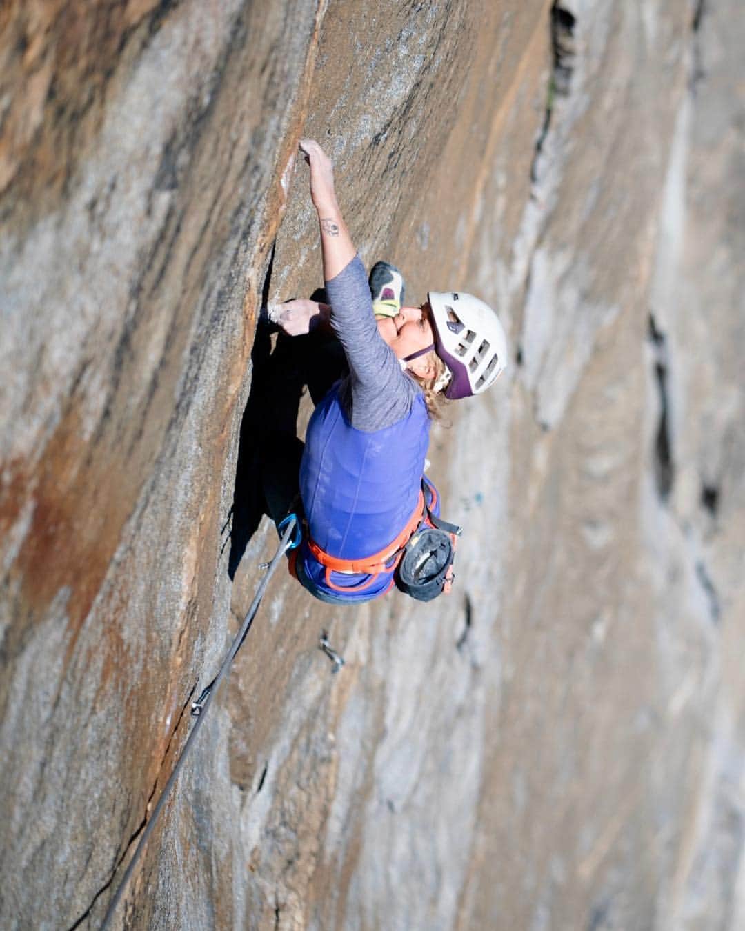 エミリー・ハリントンさんのインスタグラム写真 - (エミリー・ハリントンInstagram)「“Climbing on El Cap is like petting a hairless cat. It’s there and you’re doing it and it’s uncomfortable but you’re doing it anyways.” - words & 📸s by the eloquent & talented @tarakerzhner 💕// 😻😻😻 //@thenorthface // @thenorthface_climb」4月25日 11時03分 - emilyaharrington