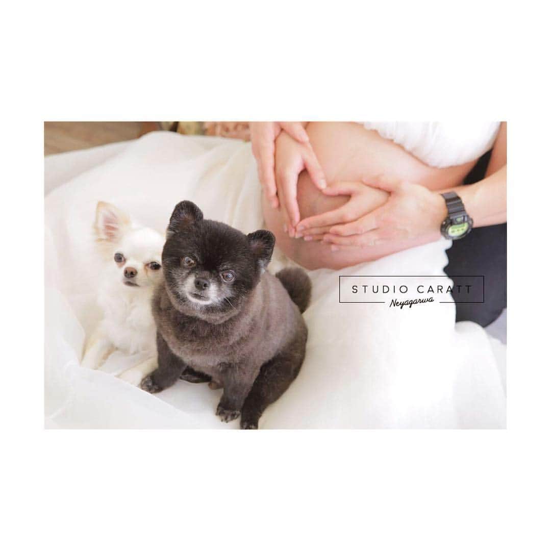 スタジオキャラット 寝屋川店のグルメインスタ