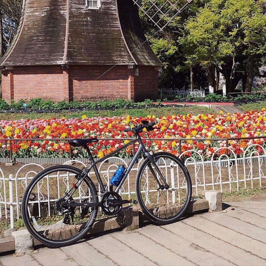 KhodaaBloomのインスタグラム：「快適さと安定感を高めたRAIL 700A。スポーツバイクの楽しさをより多くの人に。 . ———————————— ☑︎ RAIL 700A　￥45,000+税 ———————————— . #KhodaaBloom #コーダーブルーム #RAIL #レイル」