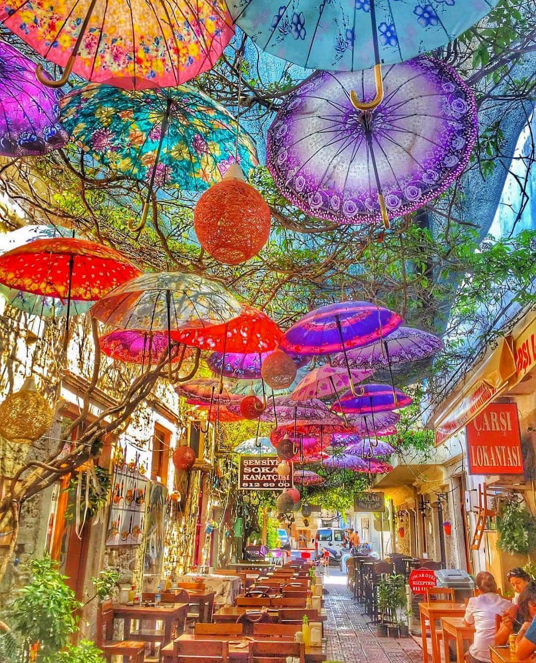 Wonderful Placesさんのインスタグラム写真 - (Wonderful PlacesInstagram)「Umbrella Street, Izmir - Turkey ✨💖💜💜💖✨ . Picture by ✨✨@amesiann✨✨ #wonderful_places for a feature 💖」4月25日 12時47分 - wonderful_places