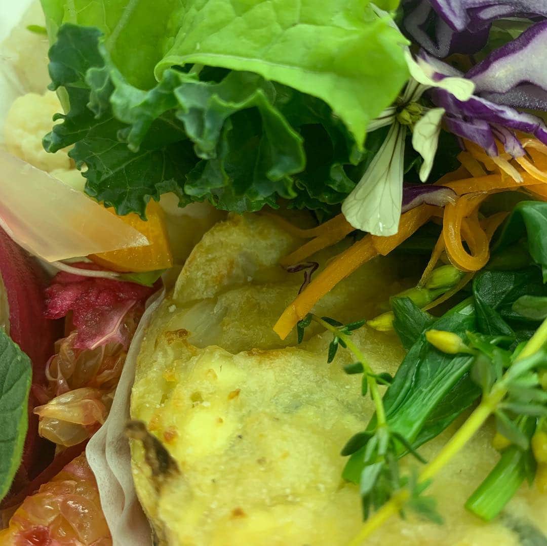 サンプラザ中野くんのインスタグラム：「#vegan #lunchbox」