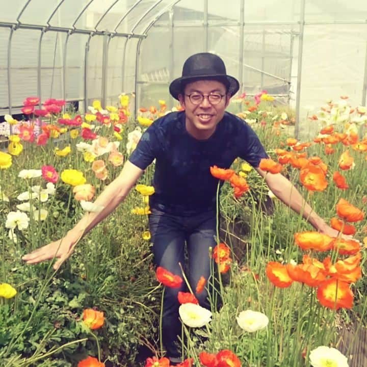 のインスタグラム：「『ジョイマン～in ポピー畑～』 #花 #ポピー #ジョイマン #ネタ #ジョイマン高木 くん #ネタ #プライベート #いちご狩り #順子のいちご園 #リズムネタ」