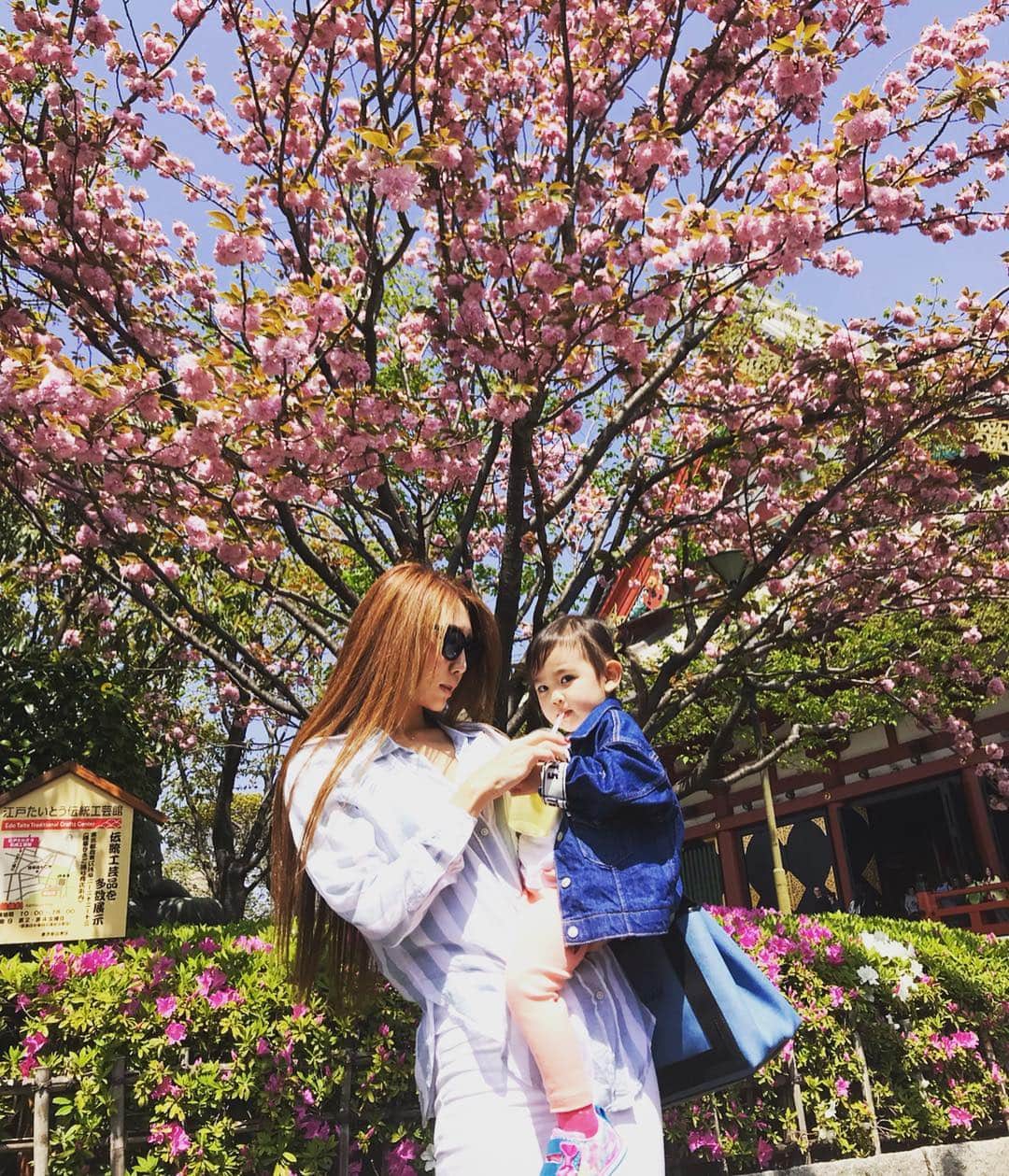 芹澤明日香さんのインスタグラム写真 - (芹澤明日香Instagram)「. . 桜の種類で1番好きなのは八重桜🌸 おじいちゃんの家に大きくて太くて立派な 八重桜の木があったの😌🌸 蕾がなったときおじいちゃんが１つ１つ選んで 枝を数本くれてたの♡ お家に持って帰って2.3日したら濃いピンクの 八重桜が咲いてたんだよね🌸 おじいちゃんっ子だった私は毎年それが楽しみだった😘 毎年八重桜の時期は思い出のある浅草寺に行くの！！ おじいちゃんと月一くらいで行ってたからね😽 今年も行けてよかった❤️ . これからもずっと天国から見守っててね😌 . . #八重桜 #桜 #浅草寺 #浅草  #sensoji #sensojitemple #cherryblossom  #女の子ママ #仲良し親子 #凜 #2歳4ヶ月 #アラフォーママ #ママさんと繋がりたい #平成最後の桜 #momlife #happylife」4月25日 15時39分 - 1219asuka