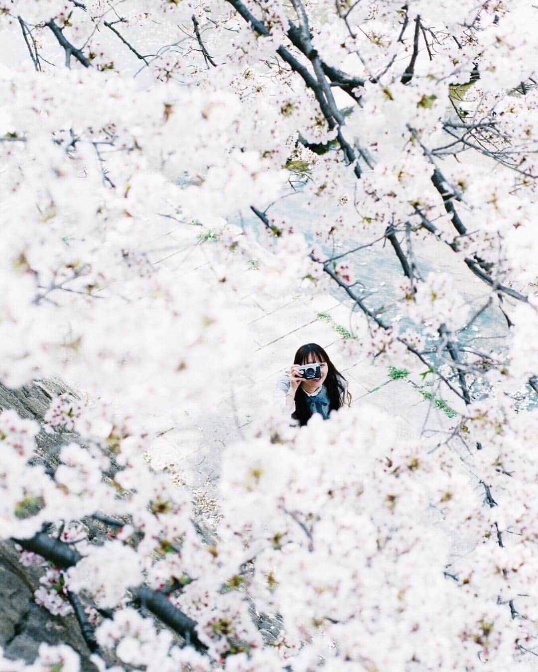岩倉しおりさんのインスタグラム写真 - (岩倉しおりInstagram)「春とカメラ」4月26日 1時44分 - iwakurashiori