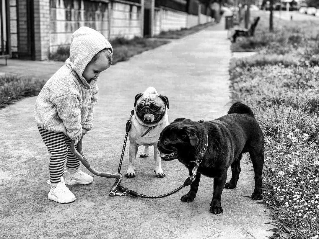 イバイ・ゴメスのインスタグラム：「Aquí una nueva enamorada de los animales ❤️😍」