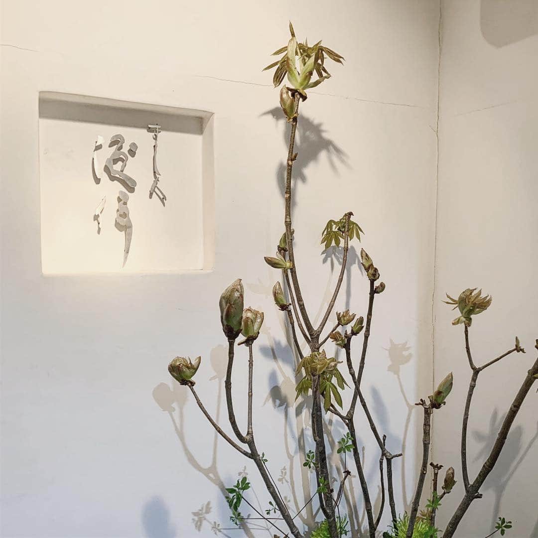 Yuta Misumiのグルメインスタ