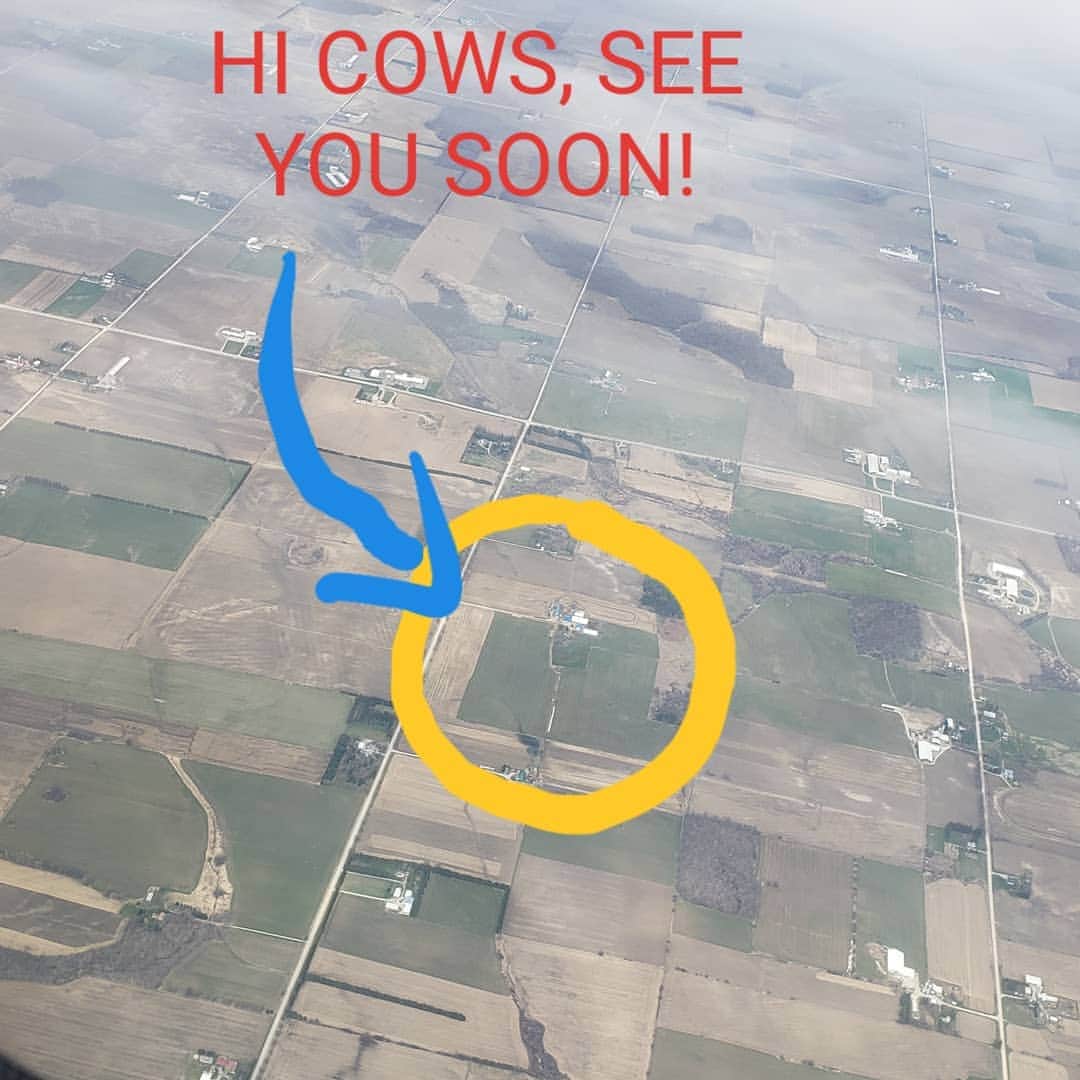 ウェスリー・キリングのインスタグラム：「I love the 20 minute flight from Toronto-->London because I always try and find places i know. I always fly over my moms house but today I finally found my dads farm #goals #traveller #canadian #dairyfarmer」