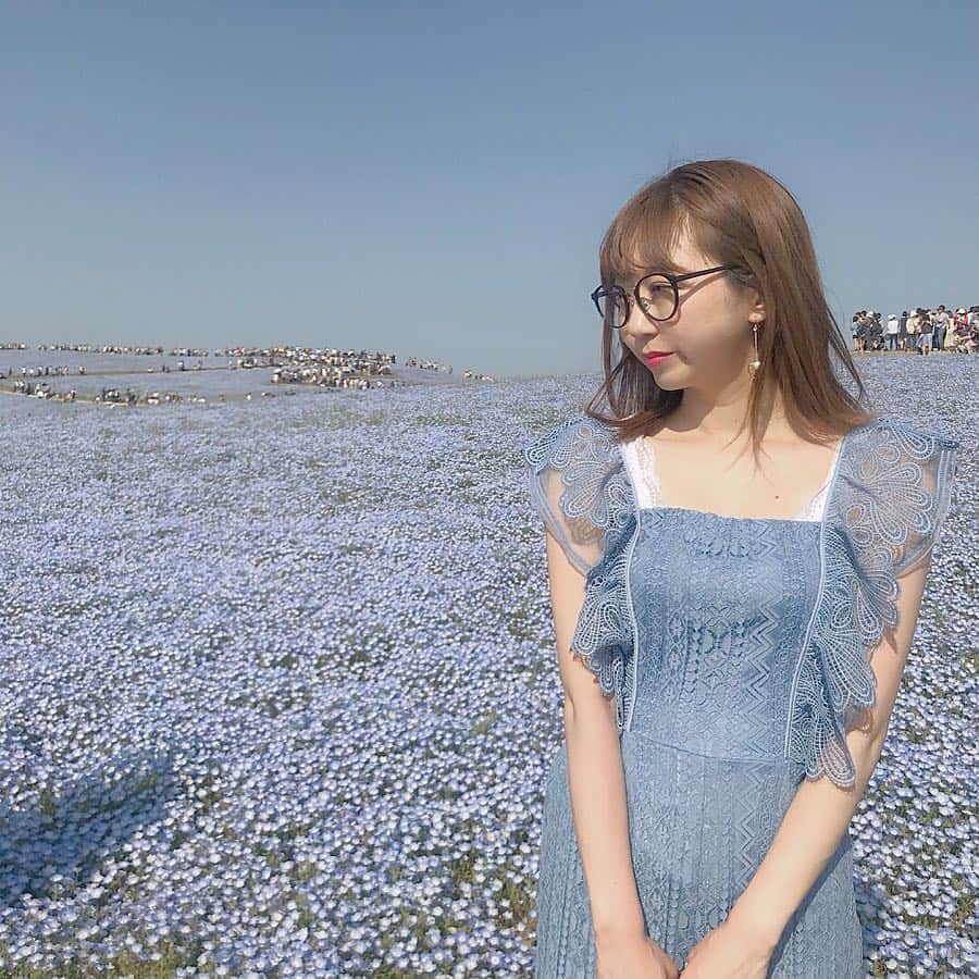 ローリエプレス編集部さんのインスタグラム写真 - (ローリエプレス編集部Instagram)「儚くて淡いブルーの小さなお花“ネモフィラ”を見にいきたい♡　﻿ ﻿ 3月から5月にかけて開花するネモフィラ。﻿ 2019年はゴールデンウィークに見頃のピークを迎えるよ！﻿ ﻿ ﻿ 花ことばは「可憐」……♡﻿ ネモフィラ畑へお出かけしたら、あなたの可憐さをアップさせてくれるかも！﻿ ﻿ おでかけスポット﻿ ❤︎首都圏：国営ひたち海浜公園﻿ ❤︎関西：大阪まいしまシーサイドパーク﻿ ❤︎関西：鶴見緑地公園 ﻿ ﻿ ﻿ Photo by﻿ @aichii_i @___peterpanda_honey_ @utena_marie @__aika1211 ﻿ Thank you...🙏💕 ﻿ ﻿ #ローリエプレス #ネモフィラ畑」4月25日 17時52分 - laurier_press