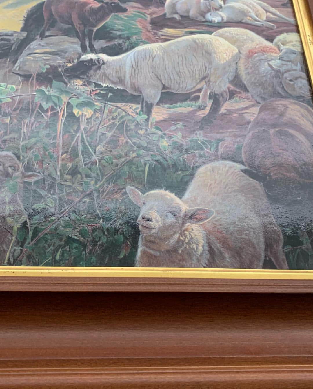 吉田羊さんのインスタグラム写真 - (吉田羊Instagram)「フェルメールが描くひつこと ロートレックが描くくっきー  大塚国際美術館、 最高でした。 館内の床の汚れまでも 再現しているのには、びっくり。  羊のモチーフやちょっと面白い絵に目がいってしまうのは性分ですねん。  お気に入りは最後のピカソ。 タイトルは「花の女」。 愛人を描こうとするも筆が進まず、 「リアルな肖像は何も君を表さない」と言って 彼女の体を細長く単純化し、 地面から立ち上がる一本の花のように描いたのだそうです。 なんだかとても素敵。  因みにこの愛人、 ピカソを振った唯一の女性。 彼の元を離れようとする彼女に、 「俺から去った女はいない。 俺から去るということは、 砂漠で暮らすようなものだ。」 とピカソが言うと、 「それが私の運命なら、 そこで生き抜いてみせます。」 と答えたのだとか。かっこいい。 ポストカードが無くて残念！  徳島の皆さま、大塚の皆さま、 ありがとうございました。  #大塚国際美術館 #徳島初上陸 #四国コンプリート」4月25日 17時54分 - yoshidayoh_official