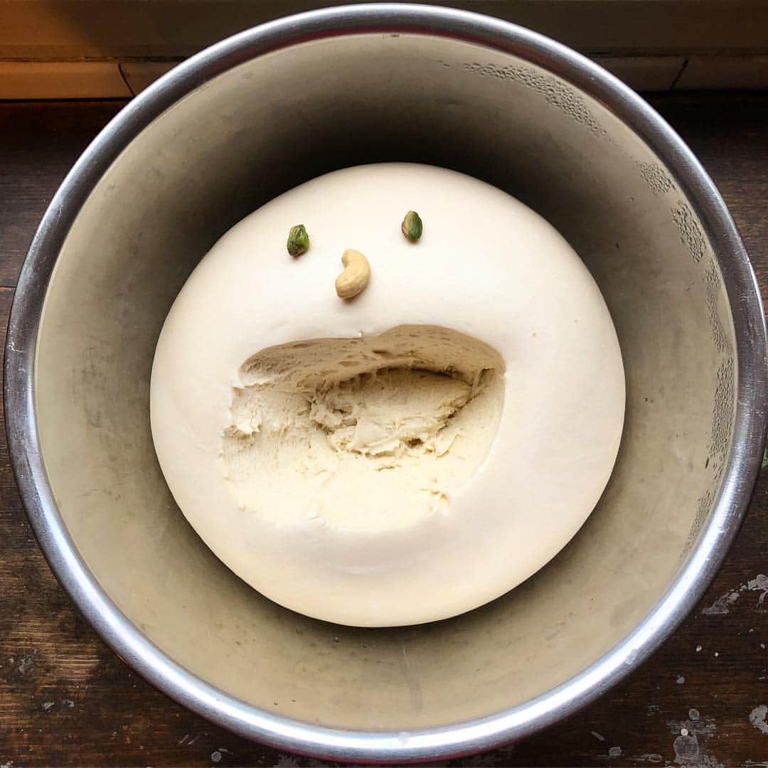 CHIPPRUSONのインスタグラム：「#levain #ルヴァン #自家製酵母 にいたずらしてしまいました。」