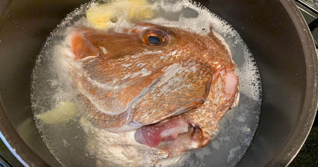 金子貴俊さんのインスタグラム写真 - (金子貴俊Instagram)「お料理タイム！！ 鯛の昆布締めに鯛のお頭の煮付け！他にも諸々料理を楽しむ(^^)至福の時間。  #たかパパご飯 #父飯#パパ飯#男の料理#魚料理#クッキング#鯛＃タイ」4月25日 18時12分 - takatoshi_kaneko