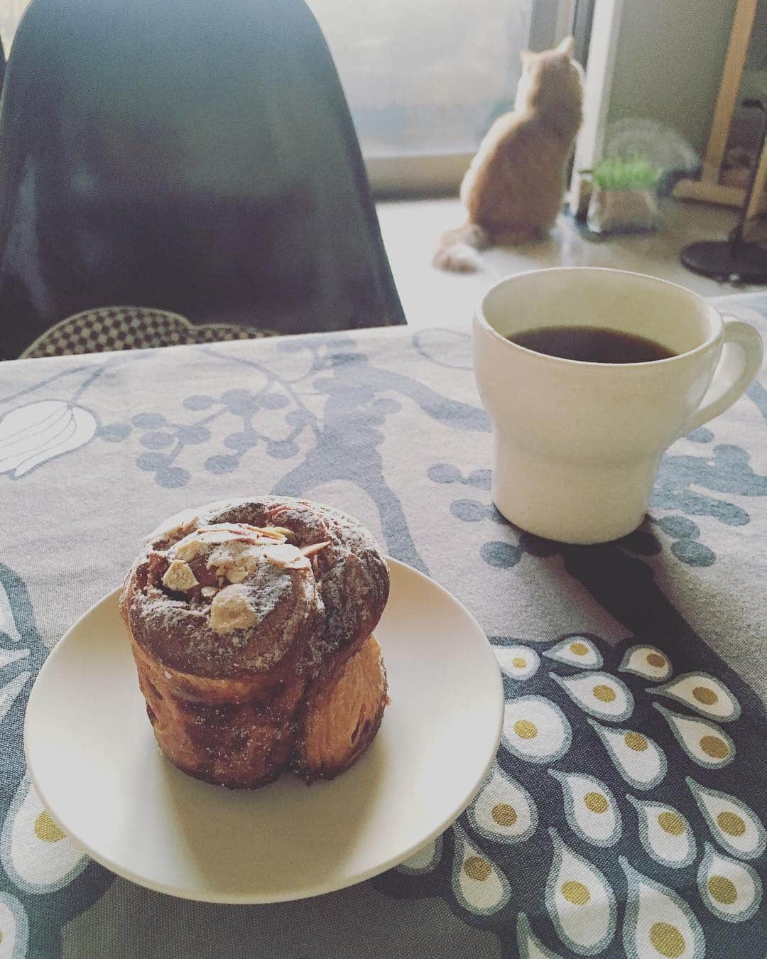 猫沢エミのグルメインスタ