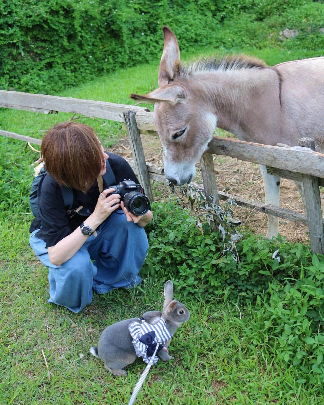 Kayoのインスタグラム：「おねぃさんとわらちゃんとオレ💚」