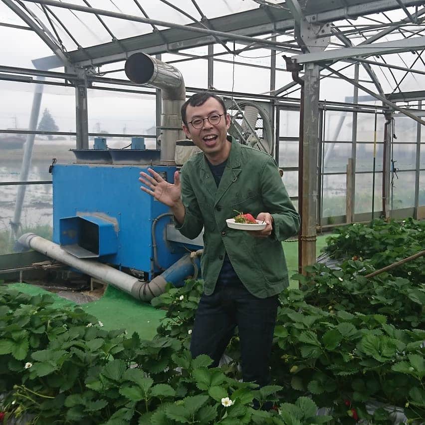 松本康太さんのインスタグラム写真 - (松本康太Instagram)「『いちご狩り』１週間前ここに来たけど、めちゃくちゃ美味しいイチゴだったのでまたすぐ来てしまったのです(^-^)♪ 大きくて甘いイチゴがたくさん♪※最後の写真は小さく見えるのがスーパーで売ってる通常の大きさなのです♪  #いちご狩り #苺 #順子のいちご園 #千葉 #プライベート #旅 #レギュラー松本 #あるある探検隊 #ジョイマン #ジョイマン高木くん #ハローケイスケ さん #ストロベリー」4月25日 18時23分 - aruarutankentai.matsumoto