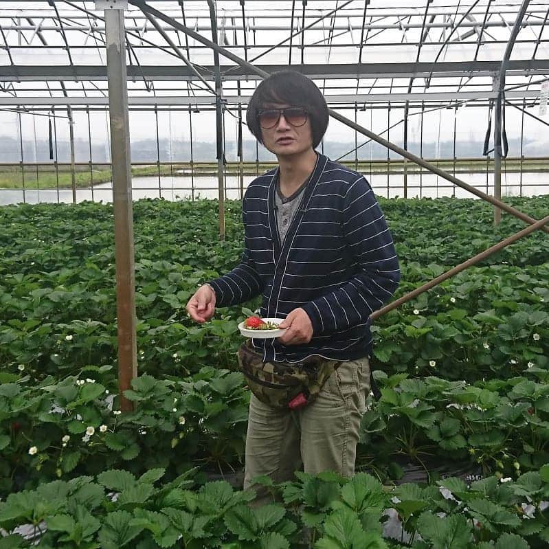 松本康太さんのインスタグラム写真 - (松本康太Instagram)「『いちご狩り』１週間前ここに来たけど、めちゃくちゃ美味しいイチゴだったのでまたすぐ来てしまったのです(^-^)♪ 大きくて甘いイチゴがたくさん♪※最後の写真は小さく見えるのがスーパーで売ってる通常の大きさなのです♪  #いちご狩り #苺 #順子のいちご園 #千葉 #プライベート #旅 #レギュラー松本 #あるある探検隊 #ジョイマン #ジョイマン高木くん #ハローケイスケ さん #ストロベリー」4月25日 18時23分 - aruarutankentai.matsumoto