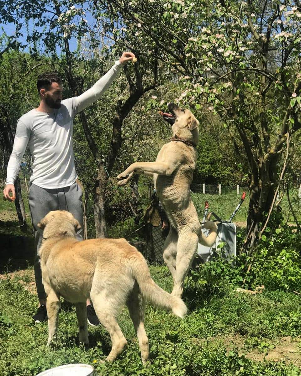 エライ・イシュジャンのインスタグラム：「Paşa & Sultan 🙏🏻」