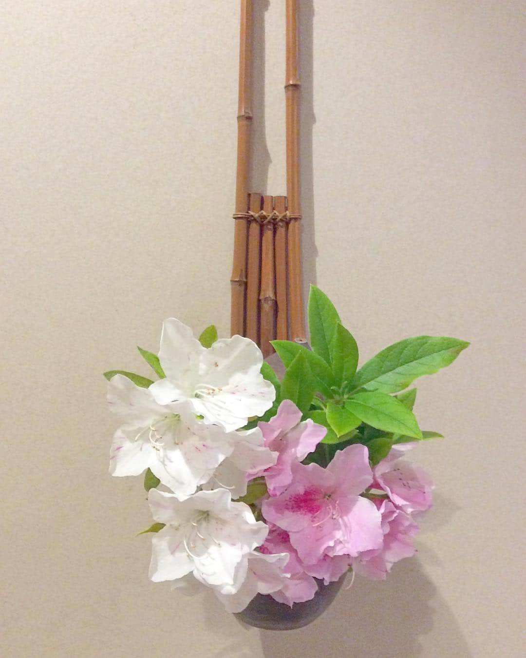 祥吉のグルメインスタ