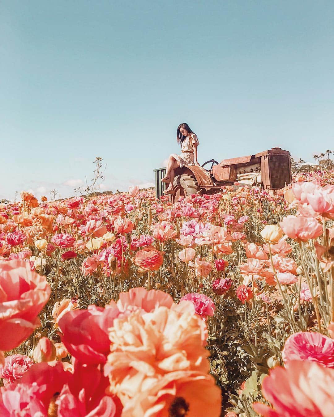 のインスタグラム：「こんばんは😊 「春」を楽しんでいるお写真は 「#タビジョ」とあわせて 「#tabijyo_spring」でお待ちしてます🌸 本日はこちら💕 ＊＊＊＊＊＊ 📸@elie_toriさん 🚩アメリカ・カリフォルニア州「Carlsbad」 🎙ご本人コメント サンディエゴへ週末ロードトリップ🚘🎶 今回は春なのでカールズバッドに寄ってきた💐 一人旅も良いけどみんなで賑やかな旅も楽しくて好き🌼 ＊＊＊＊＊＊ 「Carlsbad」は注目度急上昇な魅力満載の街ですね✨ 素敵なお写真ありがとうございます💝 ＊＊＊＊＊＊ [今週のタビジョツアー人気ランキング💁‍♀️］ 3位 <再びBEST3に返り咲き！> 「タビジョ上海3/4日間ツアー」3.98万円～ →羽田発着 往路午前出発＆復路夜帰着✈️ 日中フットワーク軽く動くには最適なホテル滞在🏨 小龍包クーポン＆オープントップバス1日乗車券付😆 2位 <3週連続2位！> 「タビジョベトナム周遊6日間ツアー」7.48万円～ →ベトナム(ホーチミン・ダナン・ホイアン)のいいとこどり女子旅ツアー💁‍♀️ ホイアン3大名物料理の夕食など嬉しい食事7回付✨ 1位 <3週連続1位！> 「タビジョはじめて奄美大島3/4日間ツアー」2.58万円～ →滞在中レンタカー乗り放題🚗 青い海と青い空に囲まれたリゾートHOTEL滞在🏨 ※詳細は、アカウント🔝のURLから チェックしてください😊 @tabi_jyo ＊＊＊＊＊＊ #タビジョ #タビジョと繋がりたい #tabijyo_spring」