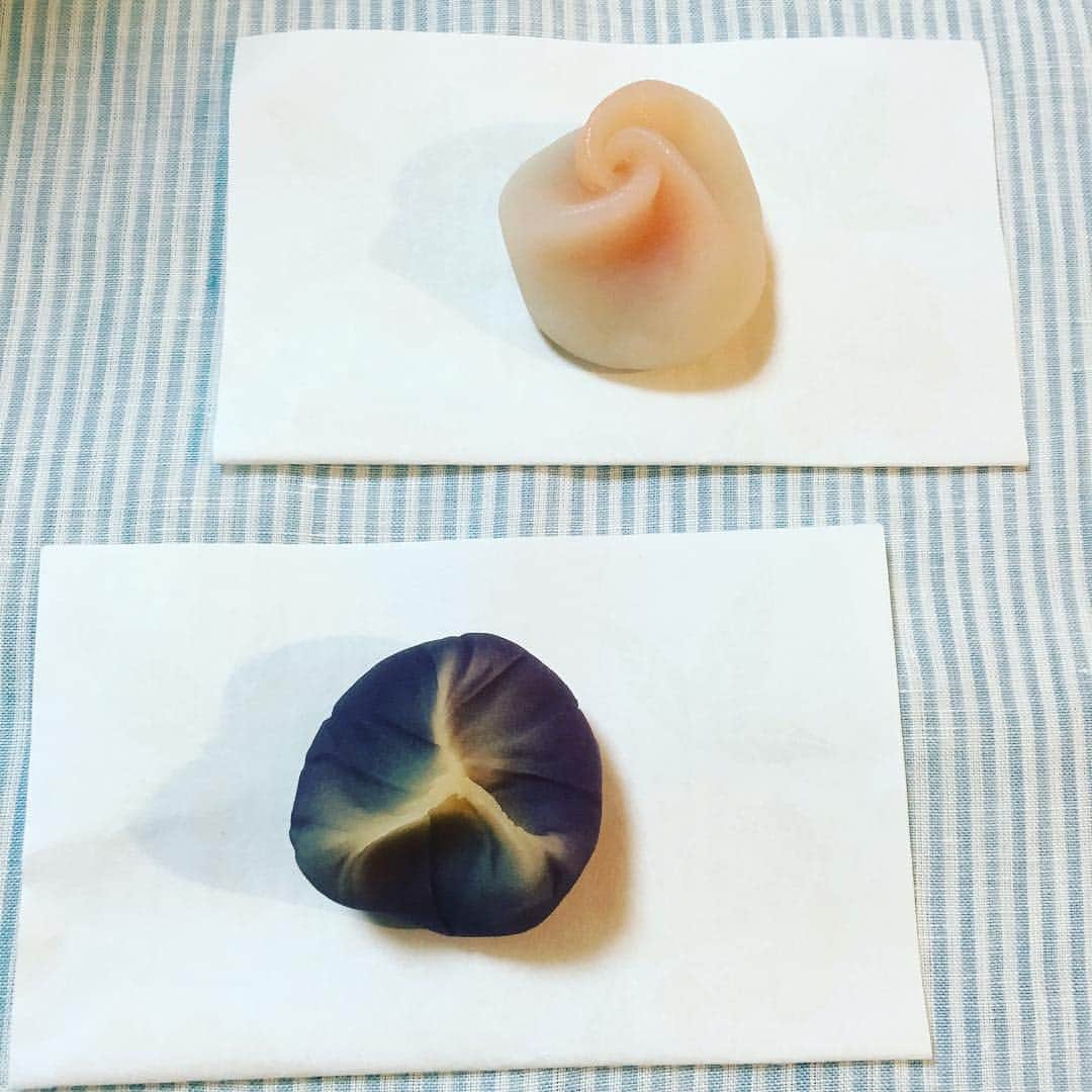 荻原和歌のインスタグラム：「こどもがずーっと楽しみにしていた「長春」「花菖蒲」。街を歩いていても、あの子鶴屋吉信さんの生菓子で季節を計っているのでは…と思うことがしばしばあります。 #flowers #sweets #matcha #japanesesweets #鶴屋吉信 #生菓子 #rose #iris #子どものいる暮らし #こどものいる暮らし #こどものおやつ」
