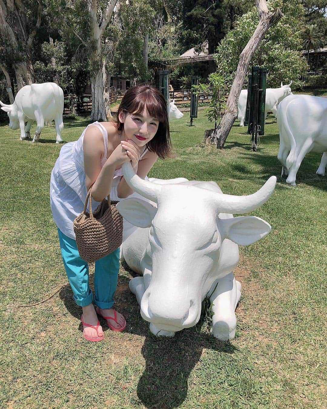 よねいはるかのグルメインスタ