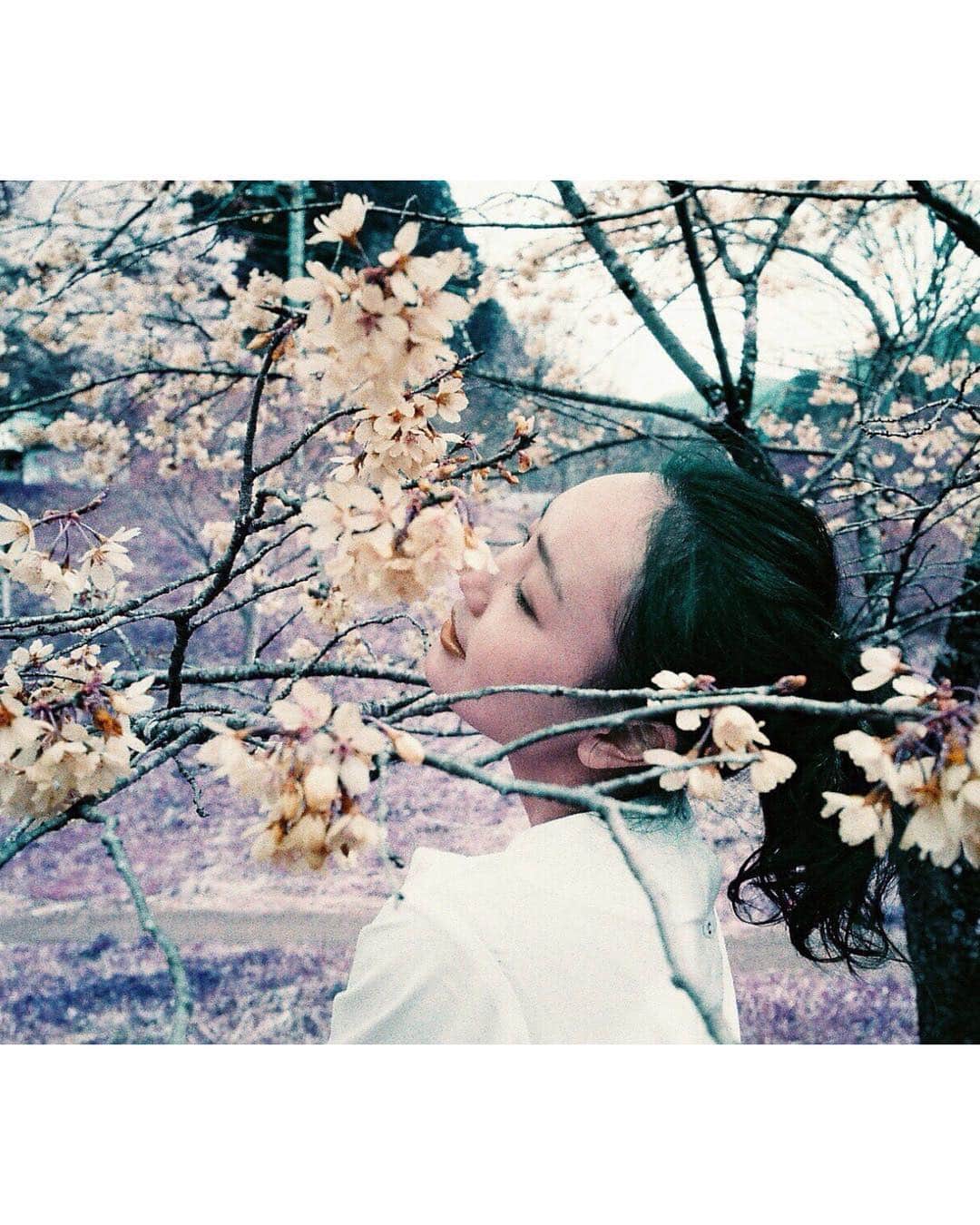 手島実優さんのインスタグラム写真 - (手島実優Instagram)「お花の季節が終わるね〜〜 2017/4/20」4月25日 20時39分 - myuchn_101
