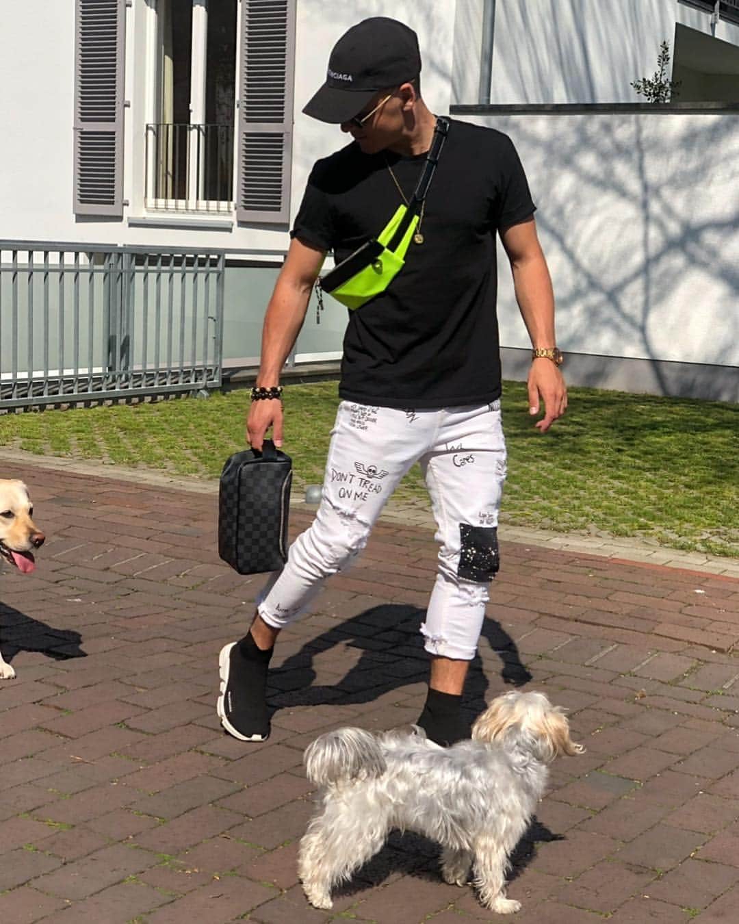 ウッフェ・ベックのインスタグラム：「☀️ Weather not bad these days 🐶🐶」