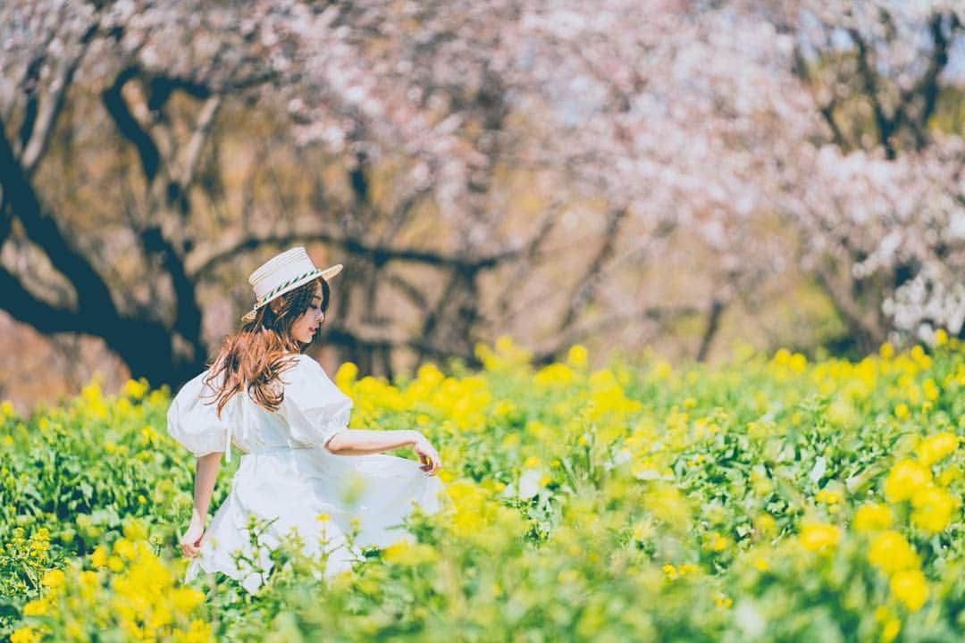 白石ゆうかさんのインスタグラム写真 - (白石ゆうかInstagram)「レトロ感が好きな一枚  #ポートレート #portrait #写真好きな人と繋がりたい #写真撮ってる人と繋がりたい #ファインダー越しの私の世界 #model #撮影 #pic #picture #picoftheday #ポートレートしま専科 #写真 #love #like #東京カメラ部 #ポートレート女子 #follow #followme #instagood #ig_japan #photoofthday #photography #japan #japanese #photo」4月25日 21時27分 - shiraishi_yuuka