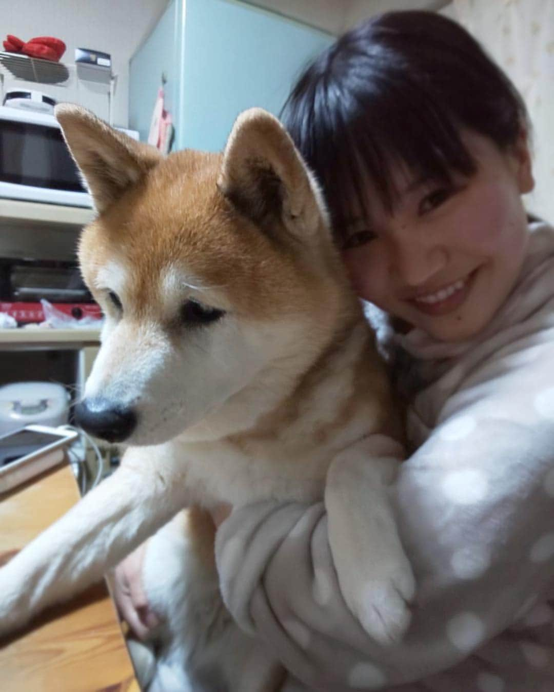 大関れいかさんのインスタグラム写真 - (大関れいかInstagram)「. 犬13キロあるから重い。 若干嫌そうなのやめて？？？🐶 んでお母さんの携帯画質独特〜〜 #ツンデレな犬#柴犬#ガッツ #shibainu#dog#shibastagram」4月25日 21時42分 - _reikaoozeki