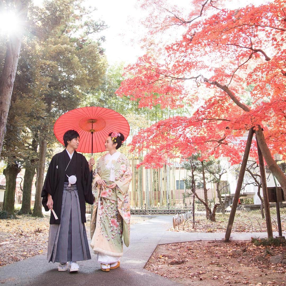 The Sally Garden（ザ サリィガーデン）のグルメインスタ