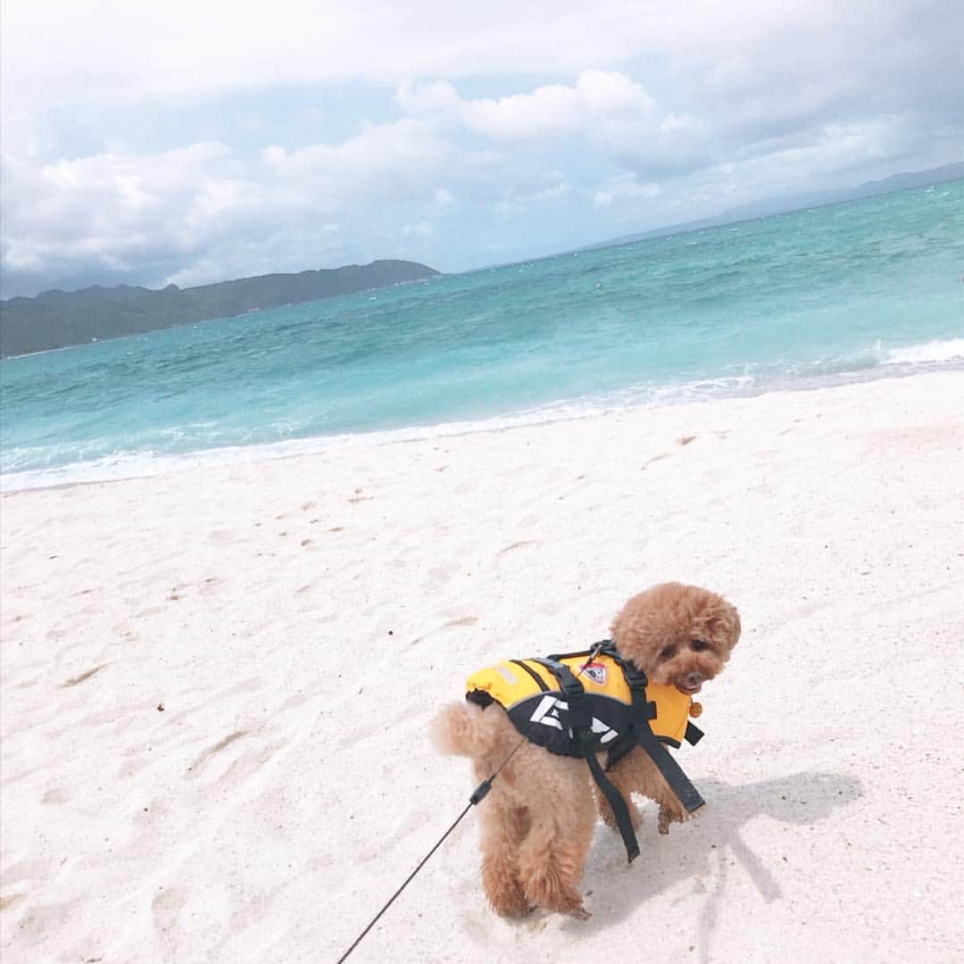 keikobun34のインスタグラム