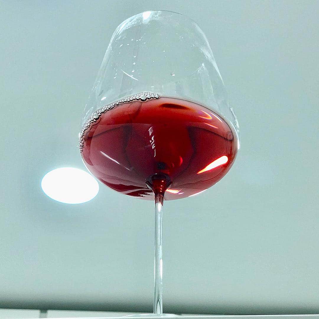 エンリケ・ソラ・クレメンテさんのインスタグラム写真 - (エンリケ・ソラ・クレメンテInstagram)「Do you know Appellation Coteaux Champenois? I am fortunate to enjoy this wine, there are few and hard to get. GAIDOZ-FORGET 2015 Coteaux Champenois.  Wines with a tremendous identity, with much soil in the glass, show the license plate of their place of origin, the terroir in which they were born. The Coteaux Champenois can become a treasure hunt for specific and curious adventures. Happy day my friends! (@champ_gaidoz ) • • • • • #vino #vin #vinho #вино #ワイン #紅酒 #wein #champagne #winelover #wineinfluencer #winetime #foodporn #food #zalto #winecellar #wineporn #instawine #winetasting #sommelier #foodandwine #coteauxchampenois #gaidozforget #rouge #france #champaña」4月25日 21時49分 - kike_sola