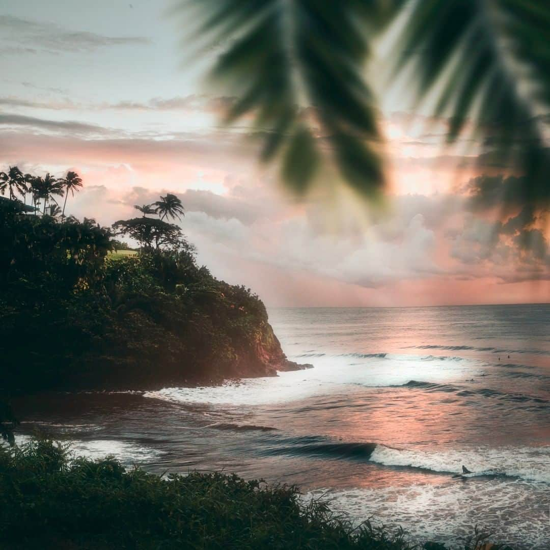 Visit The USAさんのインスタグラム写真 - (Visit The USAInstagram)「The people of Hilo, Hawaii are incredibly proud of their piece of paradise. How could you not be when home looks like this? Make sure the Big Island is on your bucket list! #UnitedStories 📸@cshep」4月25日 22時07分 - visittheusa