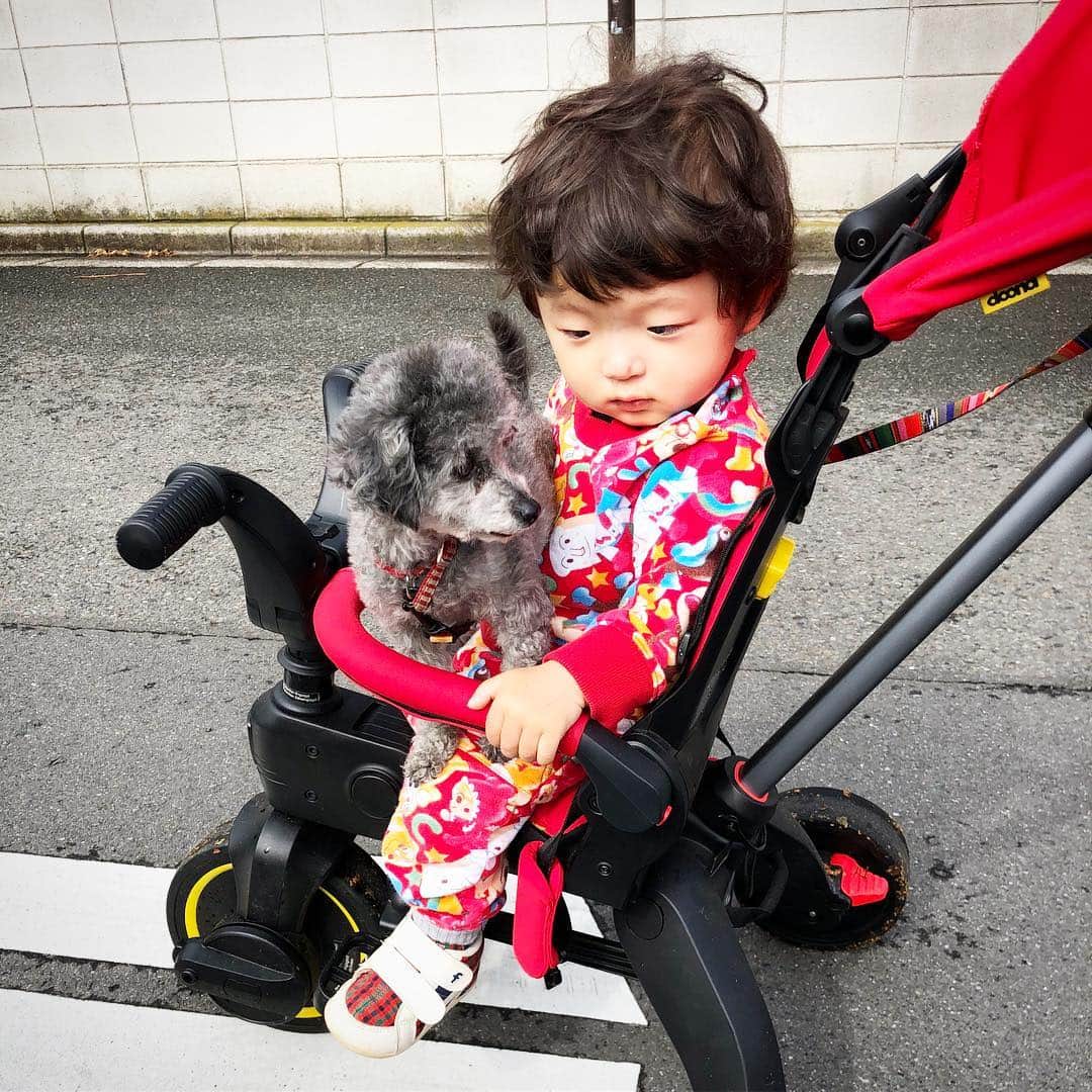 中村獅童さんのインスタグラム写真 - (中村獅童Instagram)「ほんとプーちゃんと仲良しです。 #プーちゃん #陽喜」4月25日 22時23分 - shido_nakamura