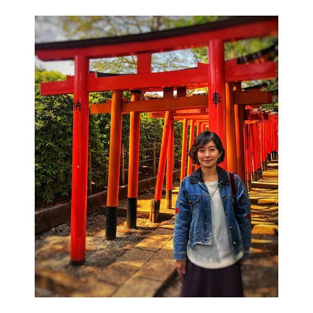 大村彩子のインスタグラム：「「お邪魔します🙇‍♀️」 #japan#鳥居」